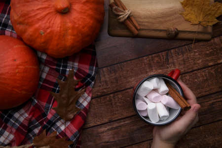 hand holds a mug with cocoa next to the table there are pumpkinsの写真素材