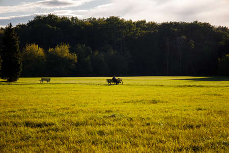 person sits on a bench on a large meadow in front of the forestの写真素材