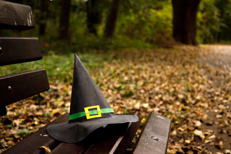 paper witch hat stands on a bench in an autumn park and fallen leaves aroundの写真素材
