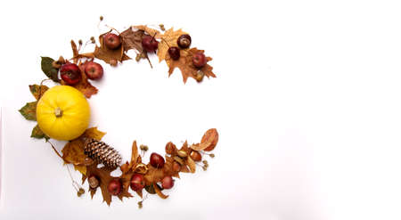 Autumn wreath of yellow leaves of apples pumpkins and chestnuts white backgroundの写真素材