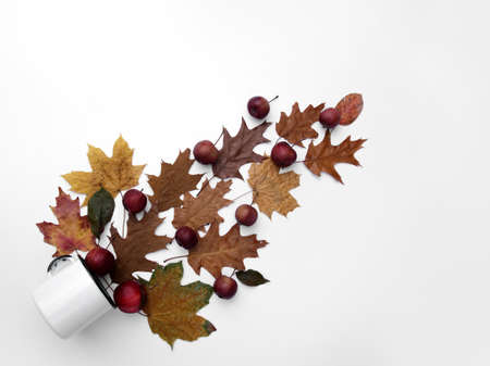 autumn composition with a mug of yellow leaves and applesの写真素材
