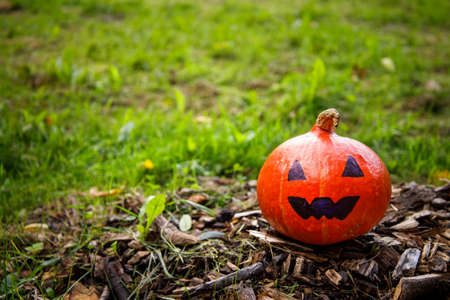Jack pumpkin stands on the grass and the chips of an old stumpの写真素材