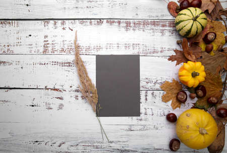 blank postcard lies on the table with autumn composition .の写真素材