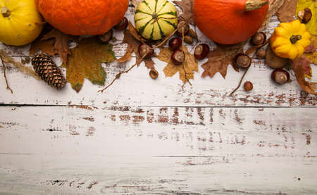 Halloween or Thanksgiving composition on white table .Copy space.の写真素材