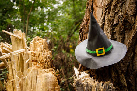 paper witch hat hanging on broken tree in autumn parkの写真素材