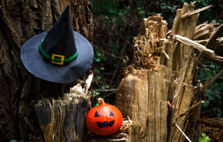 Jack Lantern pumpkin on wooden background with witch hat .の写真素材