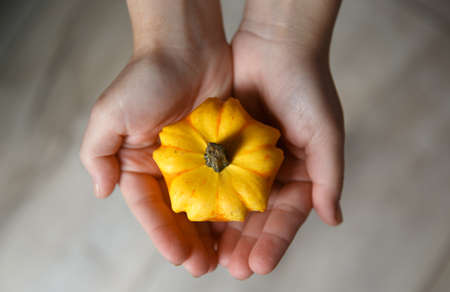 yellow small flower-shaped pumpkin on the palms of a child.の写真素材