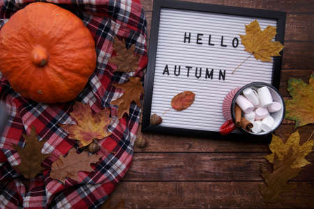 on a wooden table pumpkin letter board cocoa with marshmallows and yellow leavesの写真素材