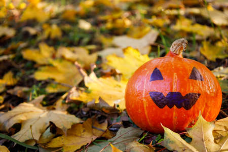 Jack pumpkin stands on the grass and on yellow maple leavesの写真素材