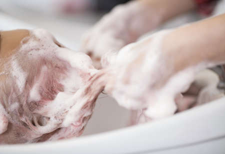 the hands of the hairdresser wash the clients hair with a thick latherの写真素材