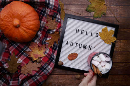 children hand holds a mug of cocoa with marshmallows over the table with pumpkinの写真素材