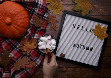 the child puts a mug of cocoa with marshmallows, on the table with pumpkinの写真素材