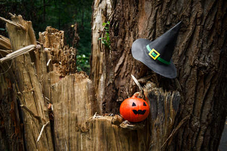 Jack Lantern pumpkin on wooden background with witch hatの写真素材