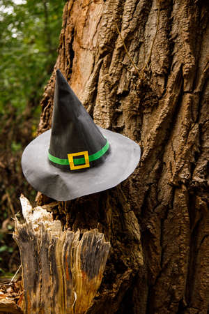 paper witch hat hanging on broken tree in autumn park.