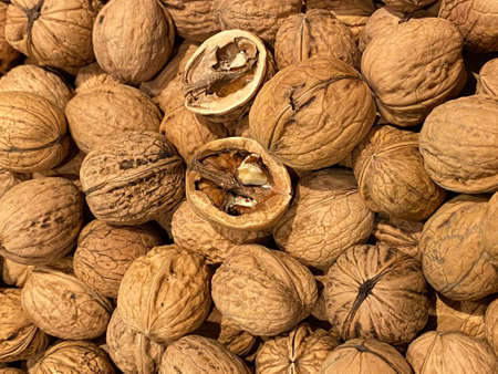 large amount of ripe walnuts in a shellの写真素材