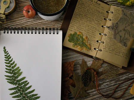 notebook with notes on herbs and mug with tea on wooden table and number of leaves.selective focus