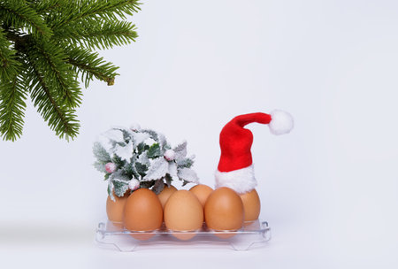 chicken eggs stand on a tray on a white background and above them a branch of a Christmas tree. High quality photoの写真素材