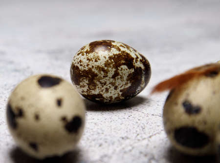 close-up.Quail eggs small spotted on a gray stone table. High quality photo Small quail eggs on a gray stone table soft selective focus blurred background.の写真素材