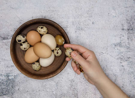 the girl hand puts chicken and quail eggs in clay plate on grey table background. selective focus .High quality photoの写真素材