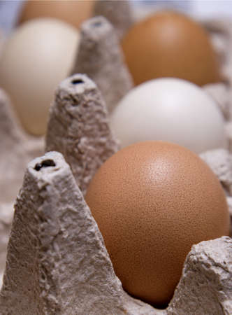 brown and white eggs in tray. close up . A tray of fresh raw eggs . easter concept selective focusの写真素材