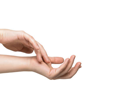 gentle female hands on a white background. High quality photoの写真素材