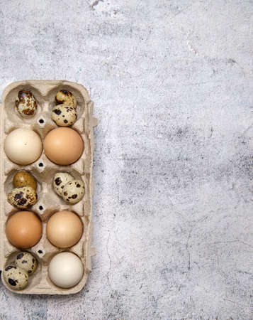 chicken and quail eggs in the egg tray. free space. selective focus. High quality photo