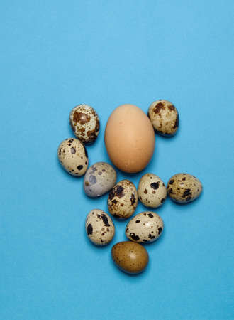 chicken egg on a blue background and around a few small quail eggs.selective focus. High quality photoの写真素材