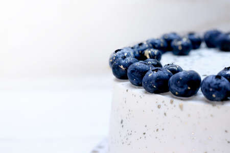 part of the white curd cake with blueberries on top. free space for your text. High quality photoの写真素材