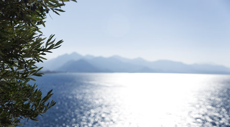 beautiful view from under the tree on the Mediterranean coast and the mountains and the ship sailing on the sea.High quality photoの写真素材