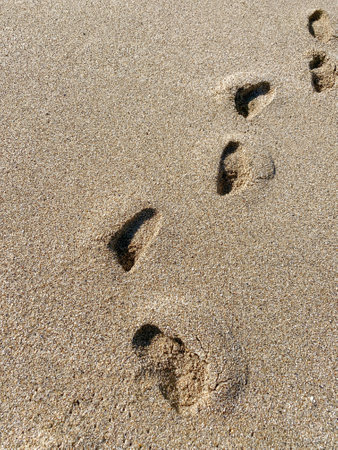 human footprints on the sea sand. High quality photoの写真素材