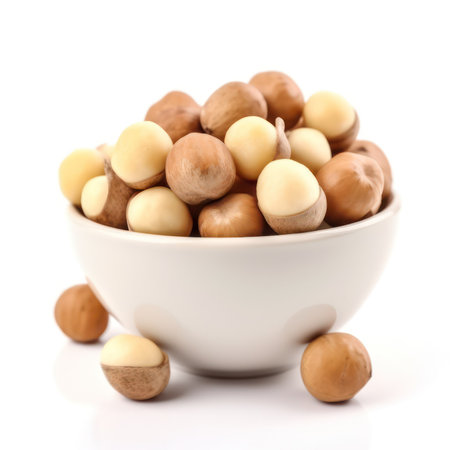 macadamia nut isolated on a white background. generative Ai, illustrationの素材