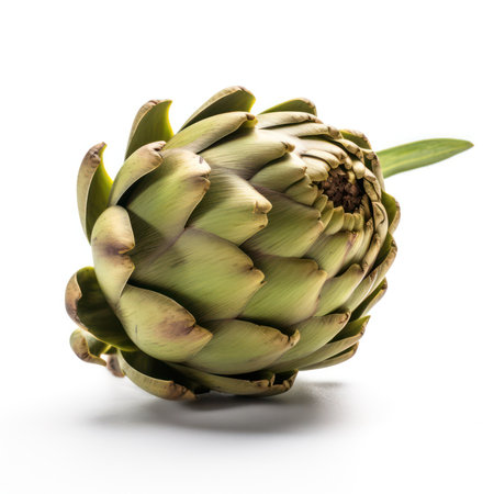 green artichoke flower and artichoke cross cuts. Edible bud isolated on white background. generative AIの素材