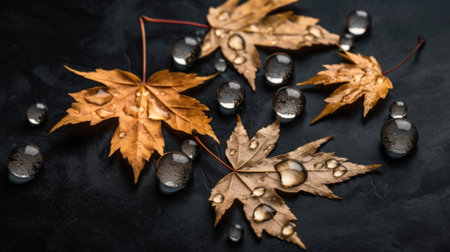 Golden maple leaves in water drops on a background of polished black stone top view, gold and stone. Generative AIの素材