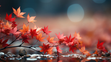 Web banner design for fall season and end of year with red and yellow maple leaves.の素材