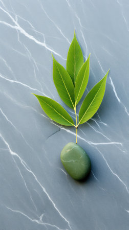 vertical background with green leaf on gray smooth stone. phone wallpaperの素材