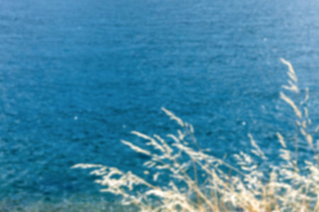 abstract background, blurred image of grass ears against the sea. copy spaceの写真素材