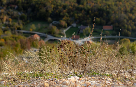 Dry grass on the blurred background of a mountain village.の写真素材