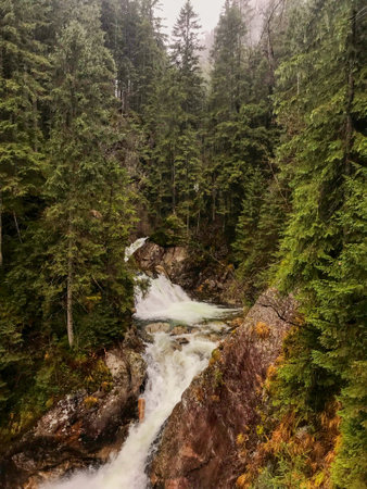 small waterfall in foggy forest in rainy weather. High quality photoの写真素材