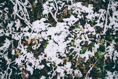 snow on the ground in natureの写真素材