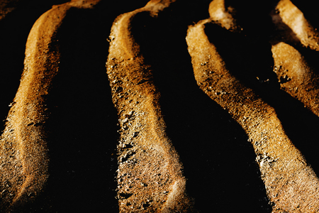 Fine beach sand in the summer sunの写真素材
