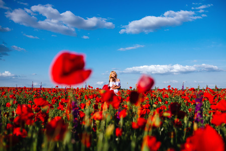 cheerful girl with curly blond hair in a huge poppy field alone,の写真素材