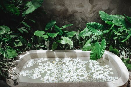 Spa decoration, natural organic products on a bathtube.の写真素材