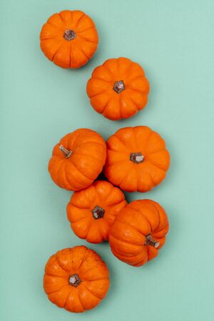 Pumpkins over neo mint background. Autumn, Halloween concept.Copy space for text.