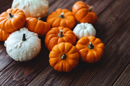 Diverse assortment of pumpkins on a wooden background. Autumn harvest.の写真素材