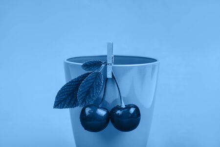 cherries on green backgroundの写真素材