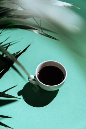 Morning coffee on the colorful background and palm branches. On blurred background with copy space. A cup of coffee under a palm tree.の写真素材