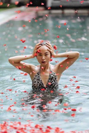 Beautiful female in swimming pool backgroundの写真素材
