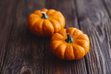 A group of miniature pumpkin