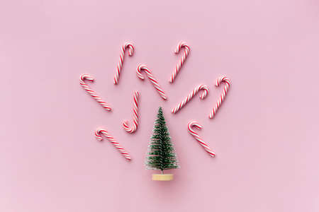 Top view of Christmas tree with many candy cane on pastel pink background.