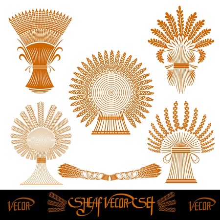 five sheaf silhouetes of wheatのイラスト素材